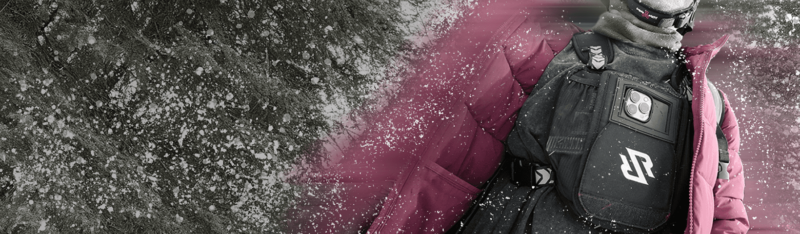 banner-lts